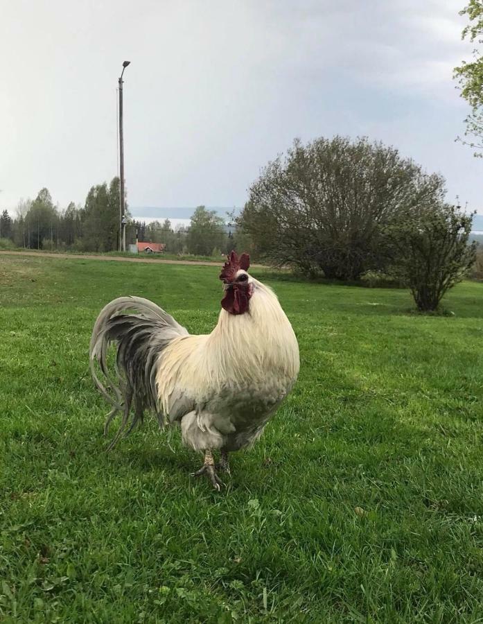 Det Gamla Panget Villa Tallberg Luaran gambar
